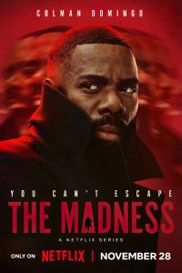 Постер к Безумие (1 сезон) / The Madness (2024) WEB-DLRip